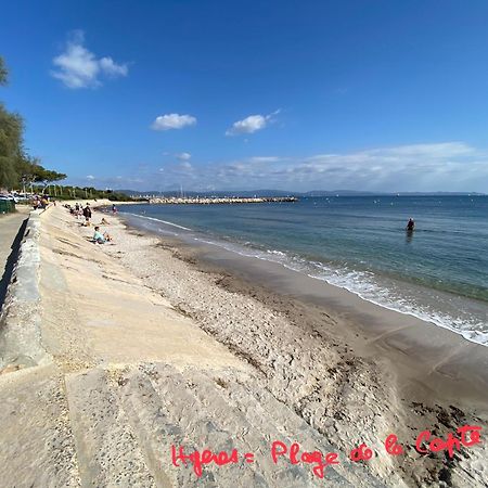 Villa Lou Gecko Hyères Kültér fotó