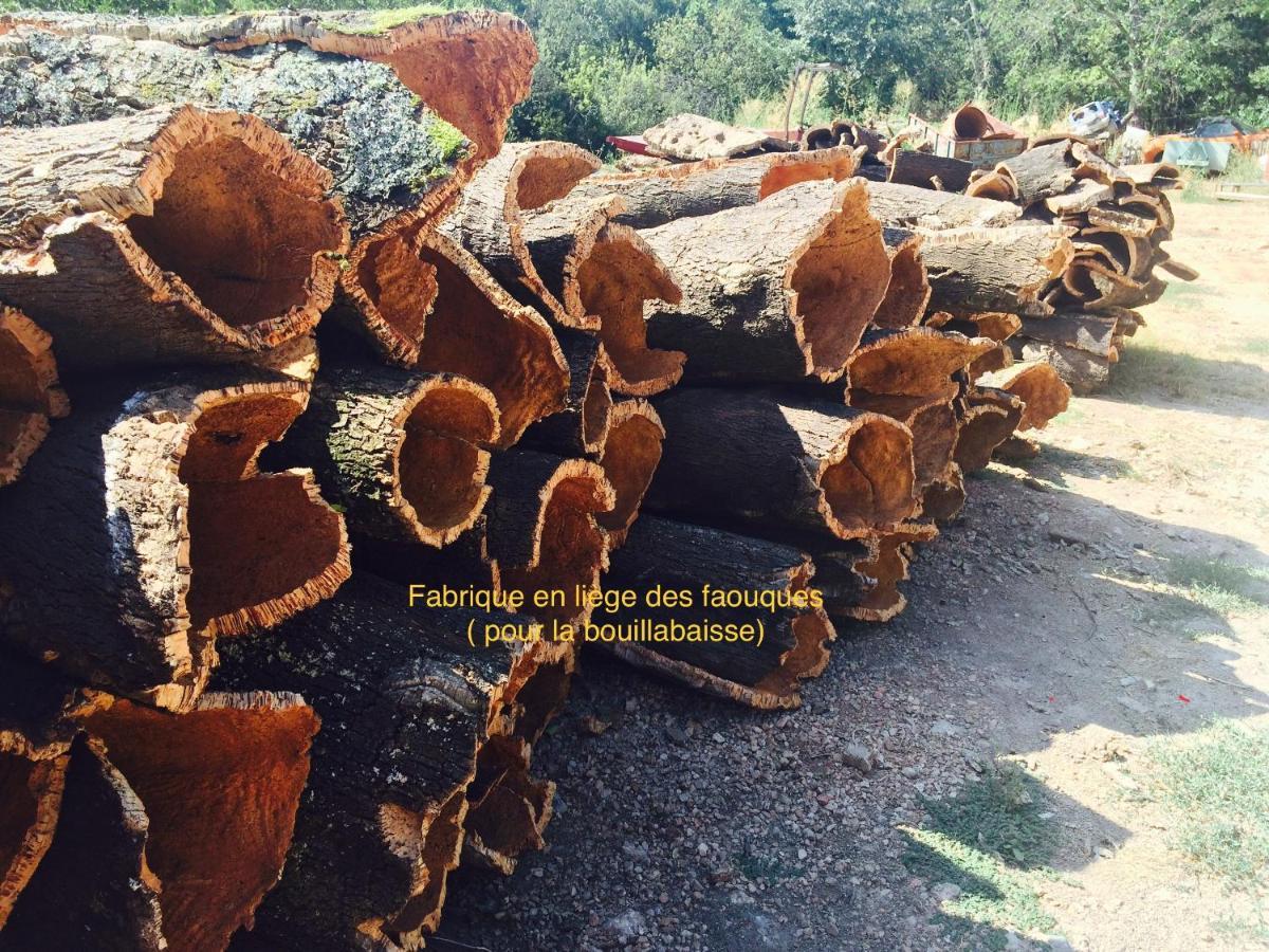 Villa Lou Gecko Hyères Kültér fotó