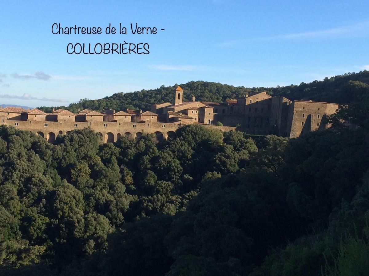Villa Lou Gecko Hyères Kültér fotó