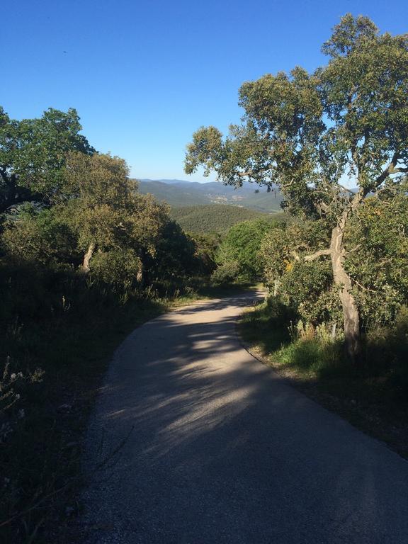Villa Lou Gecko Hyères Kültér fotó